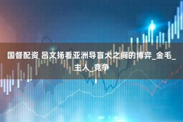 国督配资 吕文扬看亚洲导盲犬之间的博弈_金毛_主人_竞争