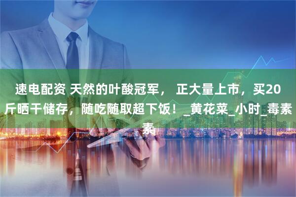 速电配资 天然的叶酸冠军， 正大量上市，买20斤晒干储存，随吃随取超下饭！_黄花菜_小时_毒素